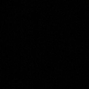 Meet your Posher, Darya